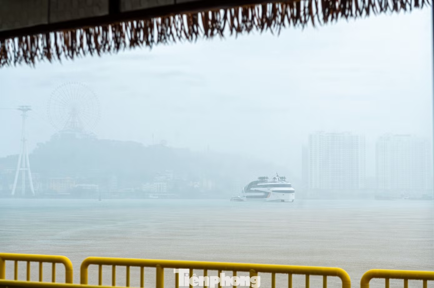 Hạ Long ảnh 1