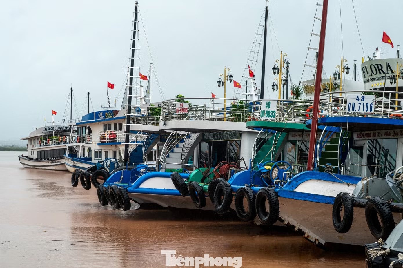 Hạ Long ảnh 14