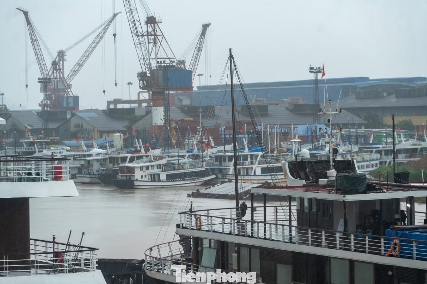 Hạ Long ảnh 12