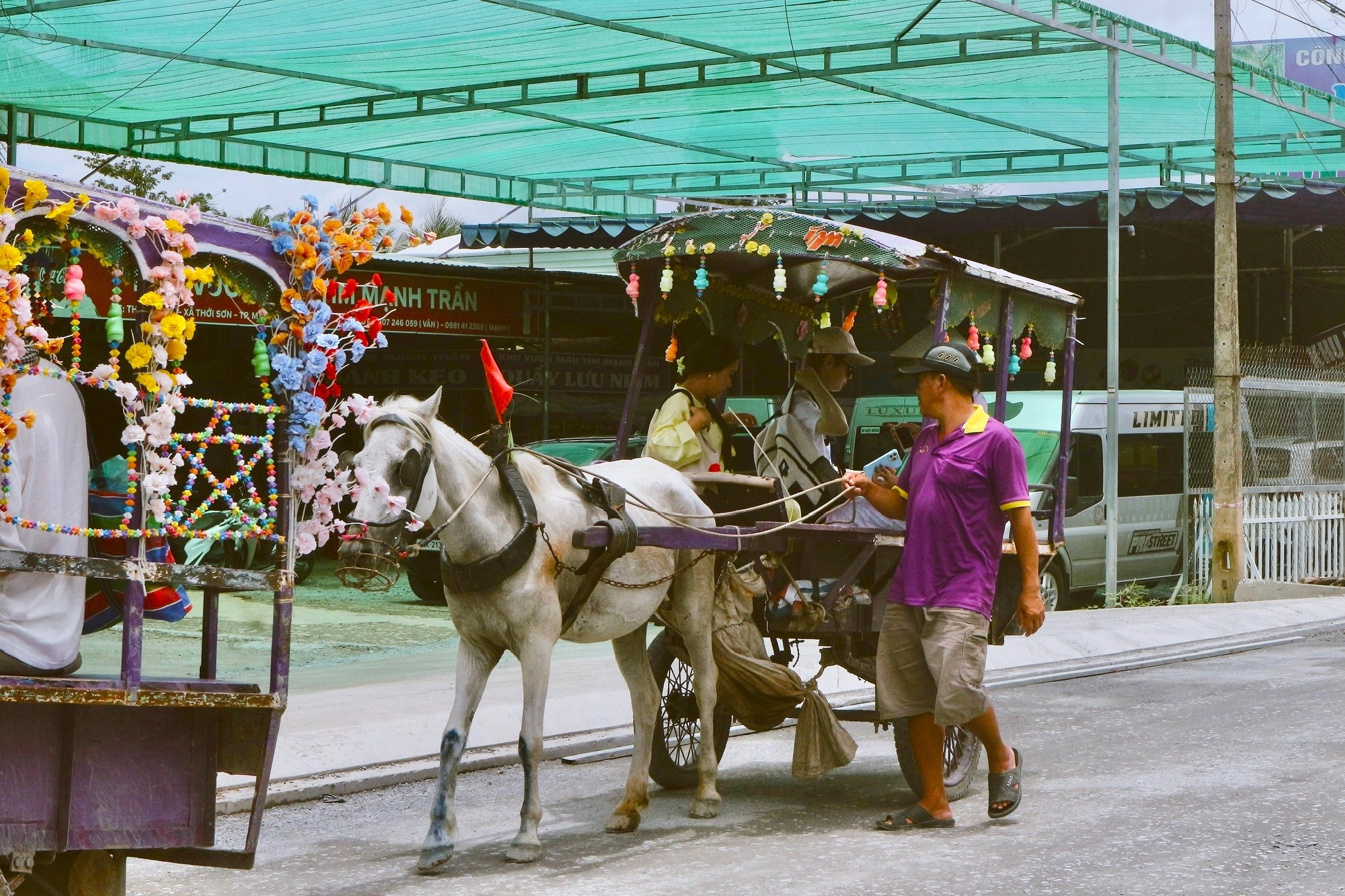 cồn Thới Sơn ảnh 10