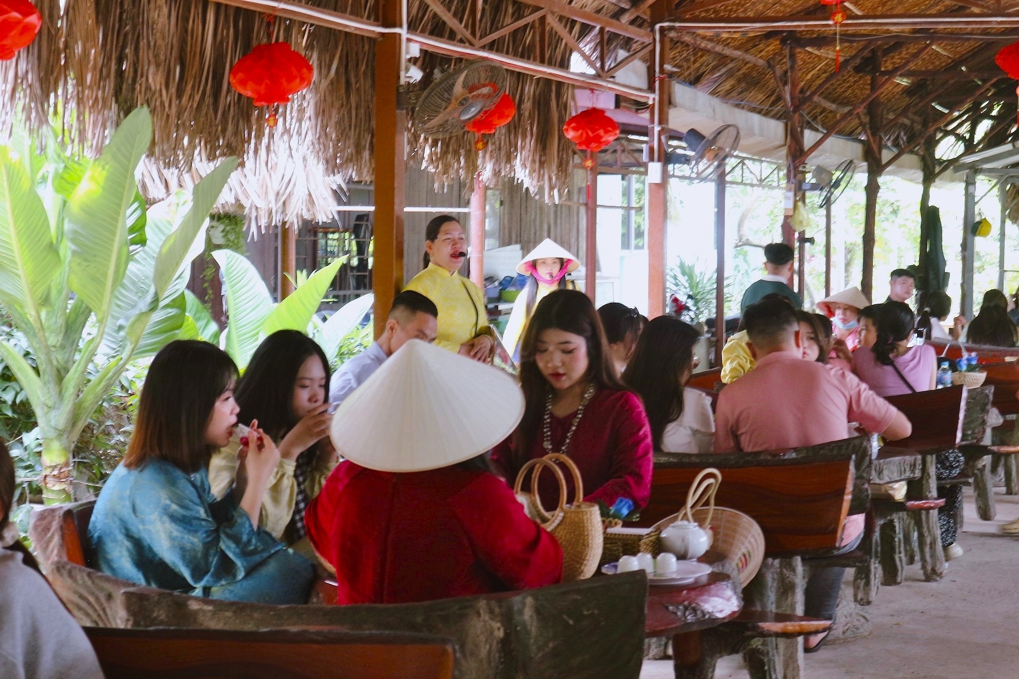 cồn Thới Sơn ảnh 9