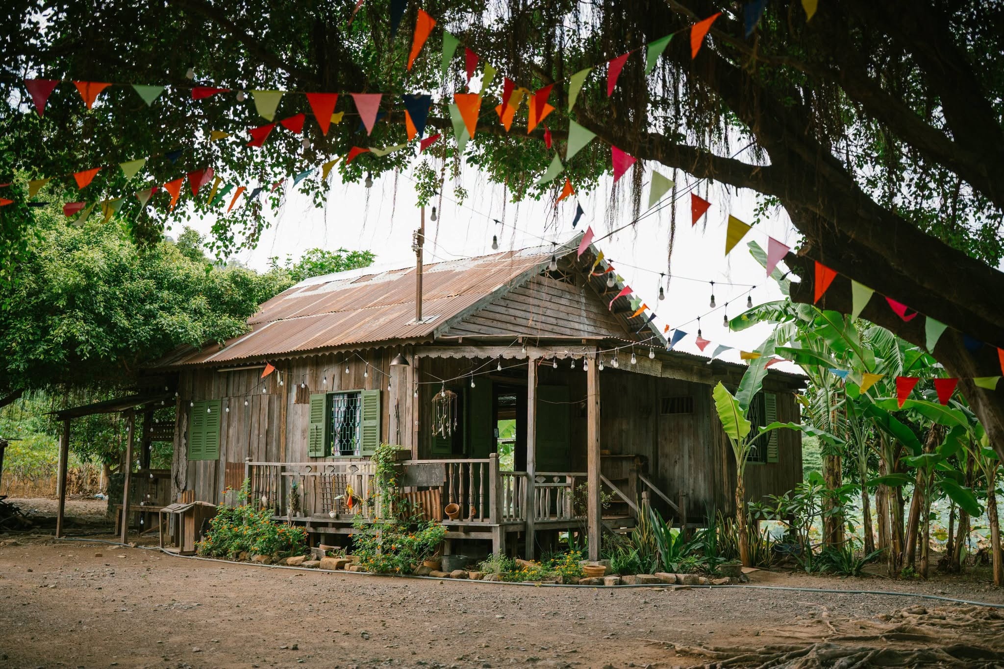 Huỳnh Lập ảnh 1