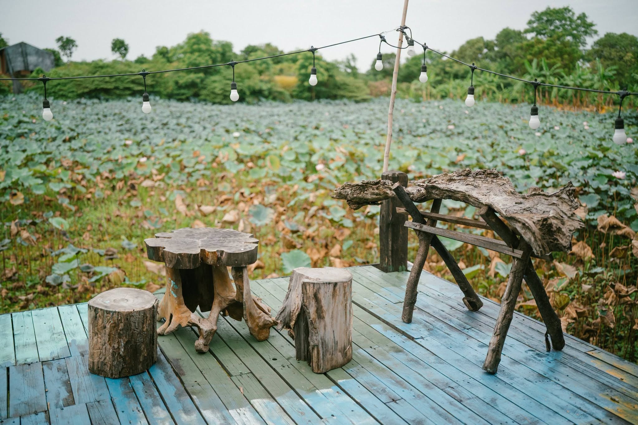 Huỳnh Lập ảnh 12