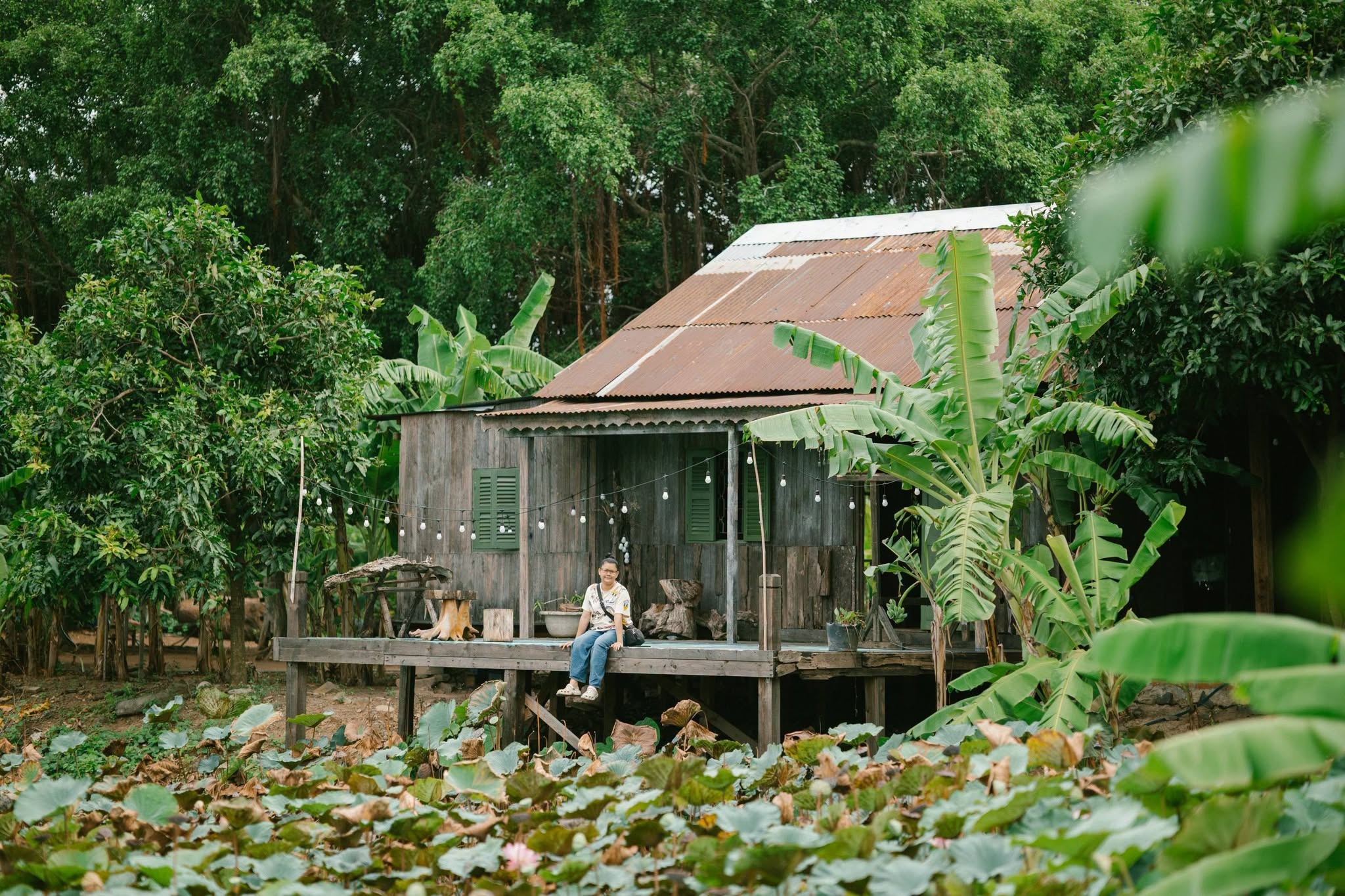 Huỳnh Lập ảnh 13