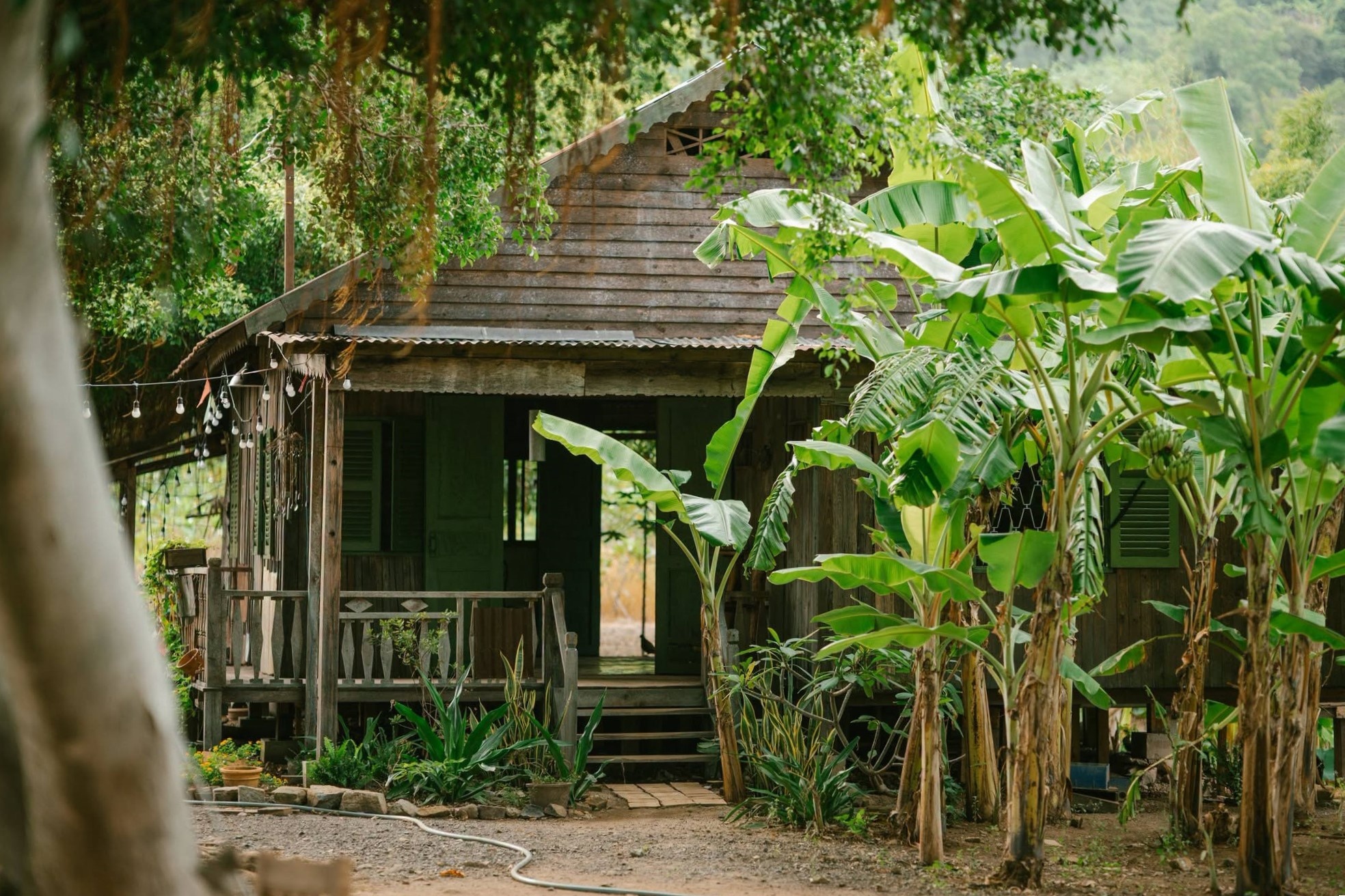 Huỳnh Lập ảnh 11