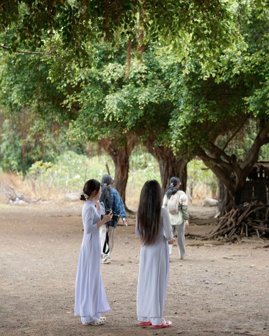 Huỳnh Lập ảnh 3