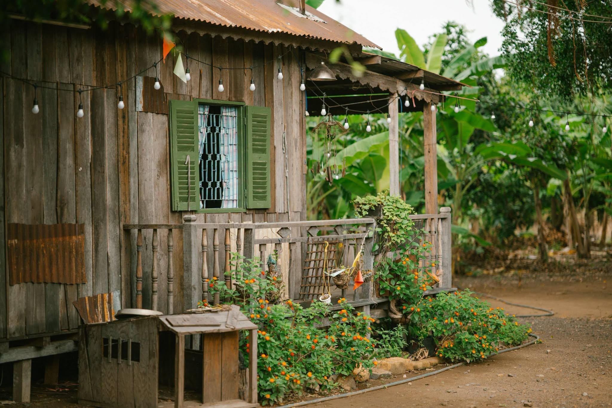 Huỳnh Lập ảnh 6