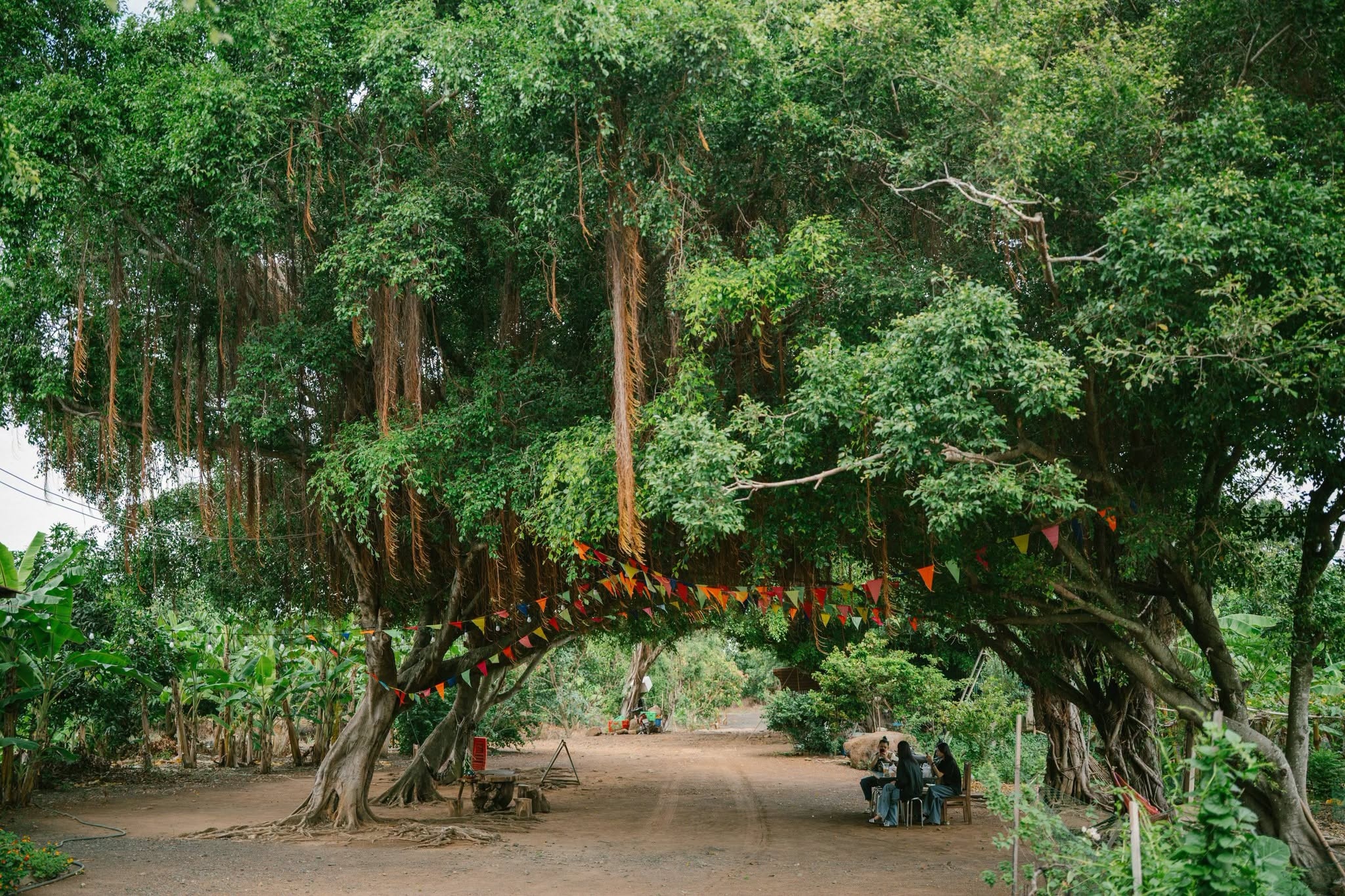 Huỳnh Lập ảnh 9