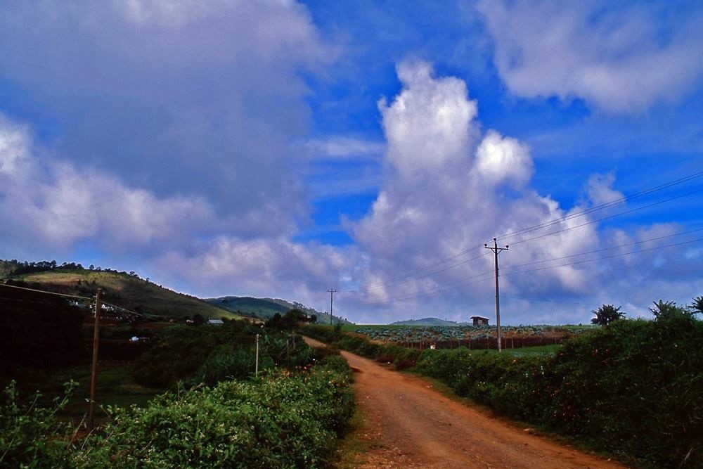 Đ&agrave; Lạt ảnh 16