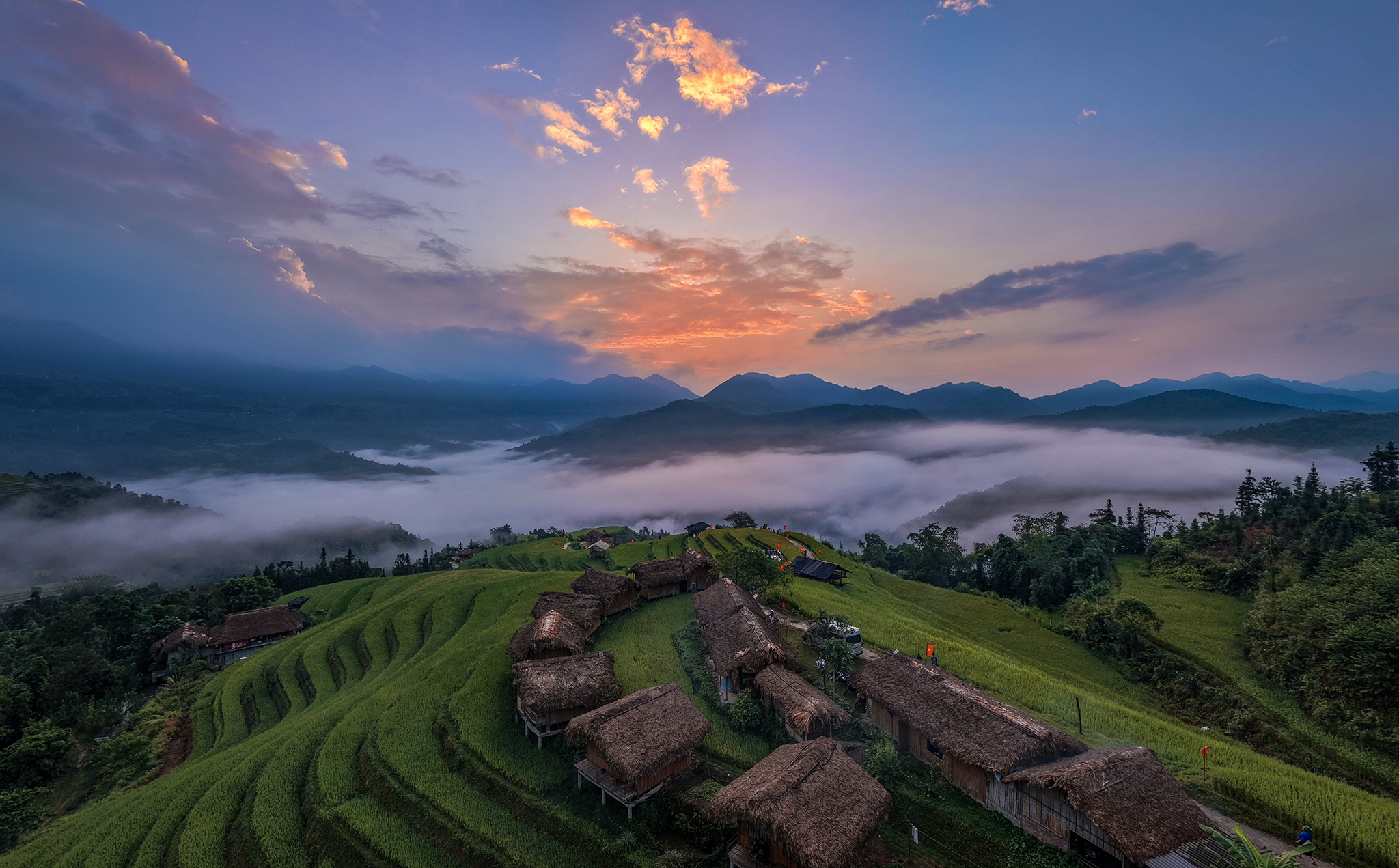 Ho&agrave;ng Su Ph&igrave;  ảnh 17