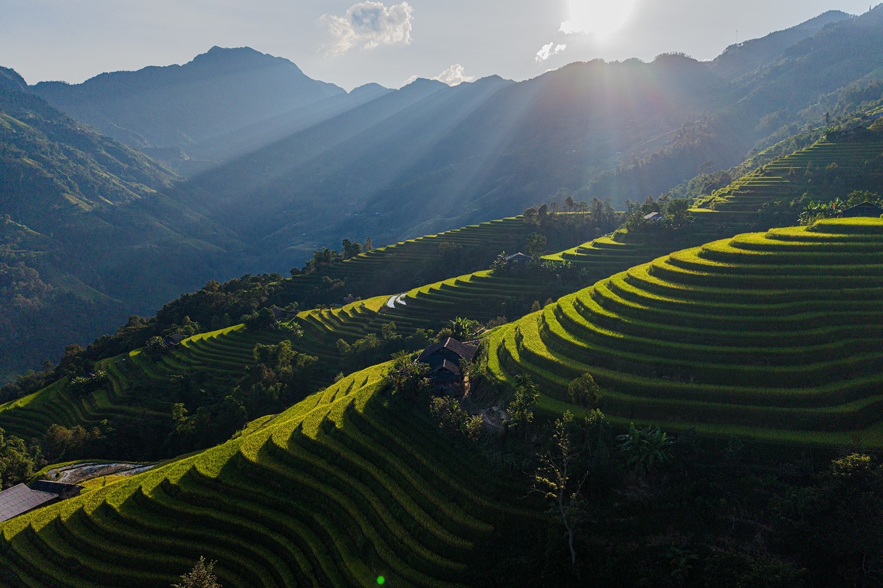 Ho&agrave;ng Su Ph&igrave;  ảnh 5
