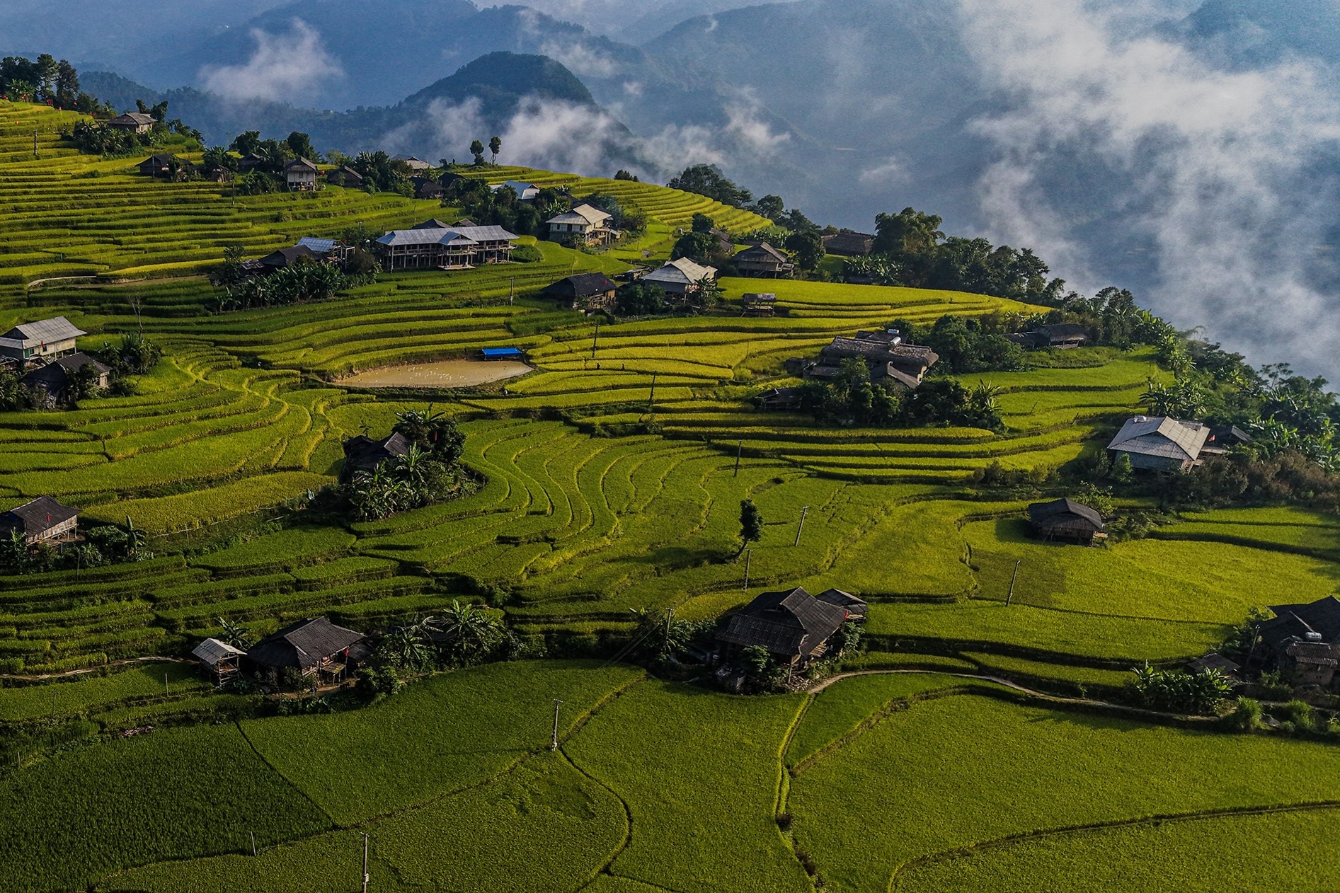 Ho&agrave;ng Su Ph&igrave;  ảnh 6