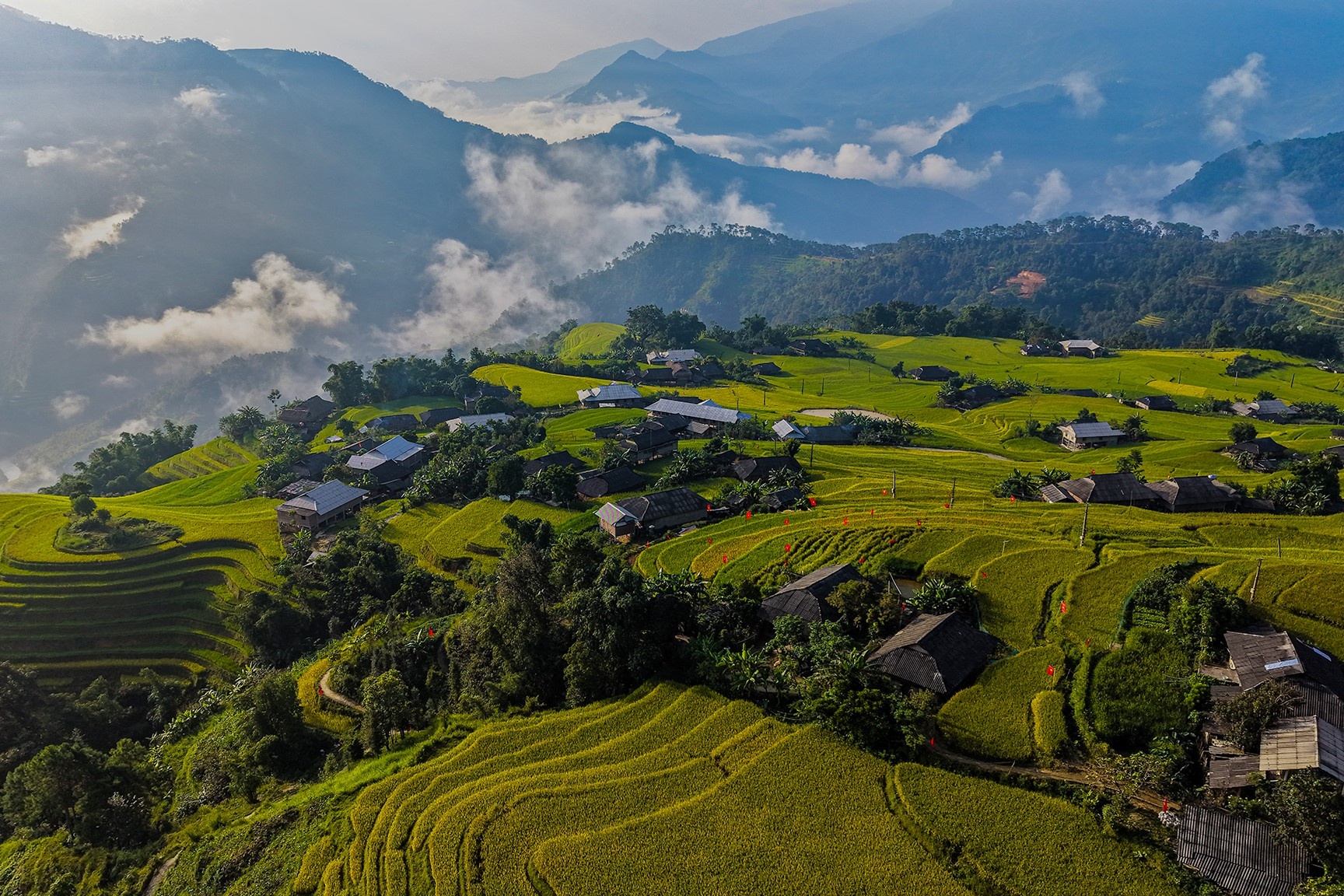 Ho&agrave;ng Su Ph&igrave;  ảnh 1
