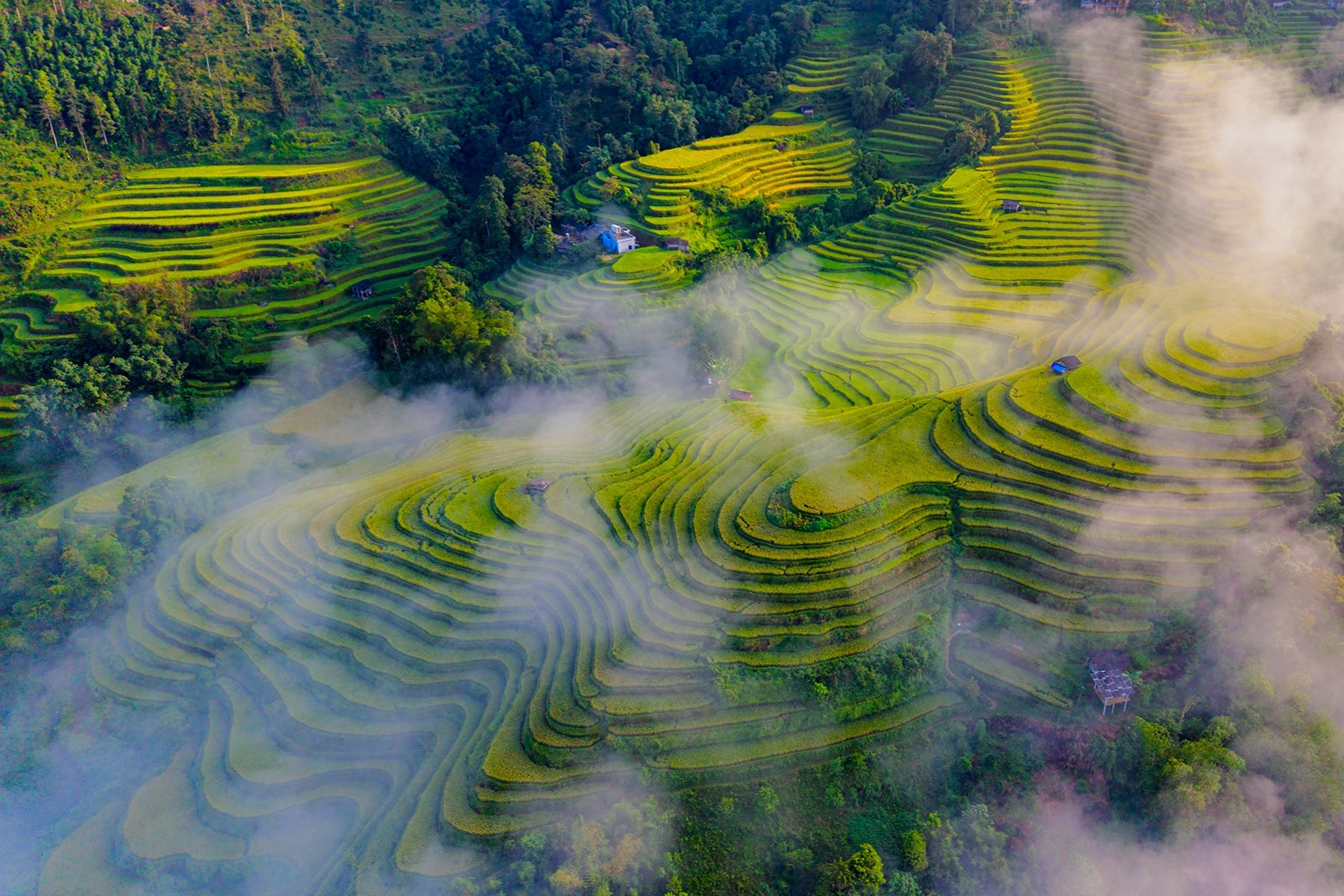 Ho&agrave;ng Su Ph&igrave;  ảnh 8