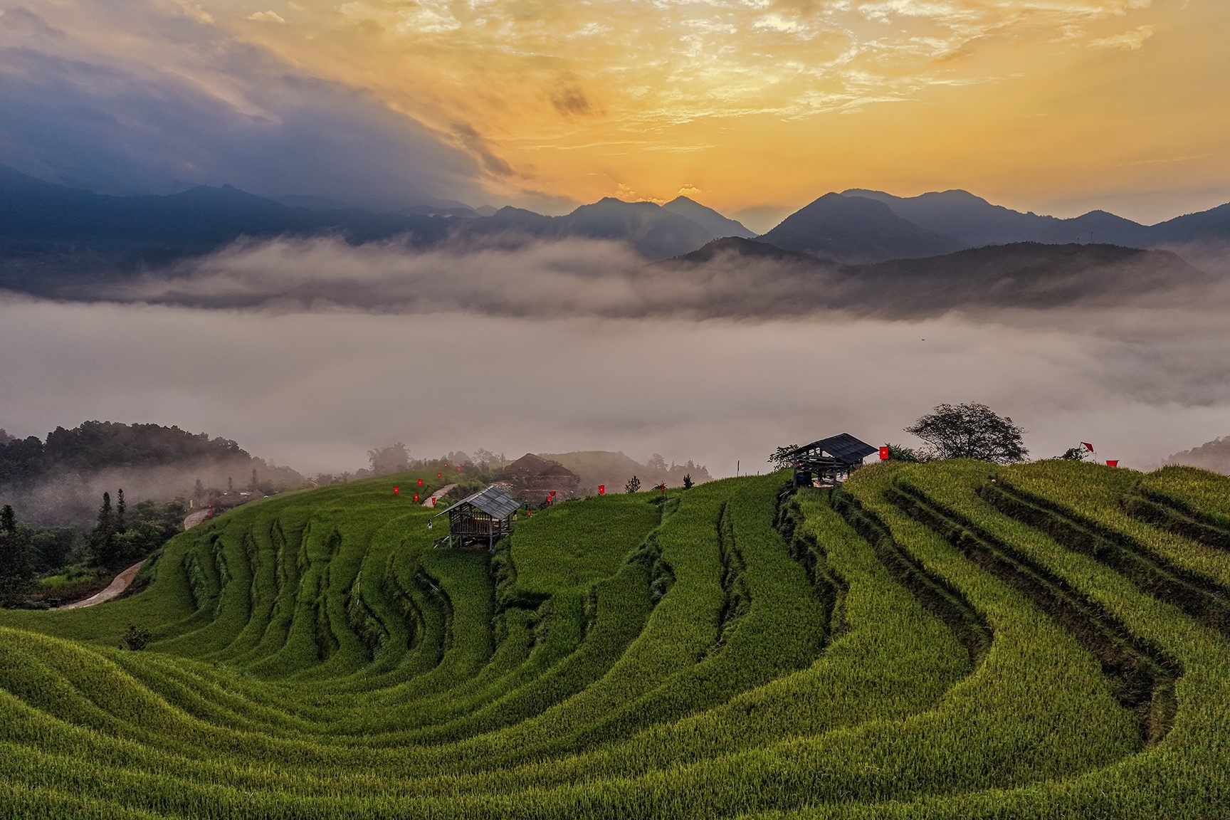 Ho&agrave;ng Su Ph&igrave;  ảnh 10