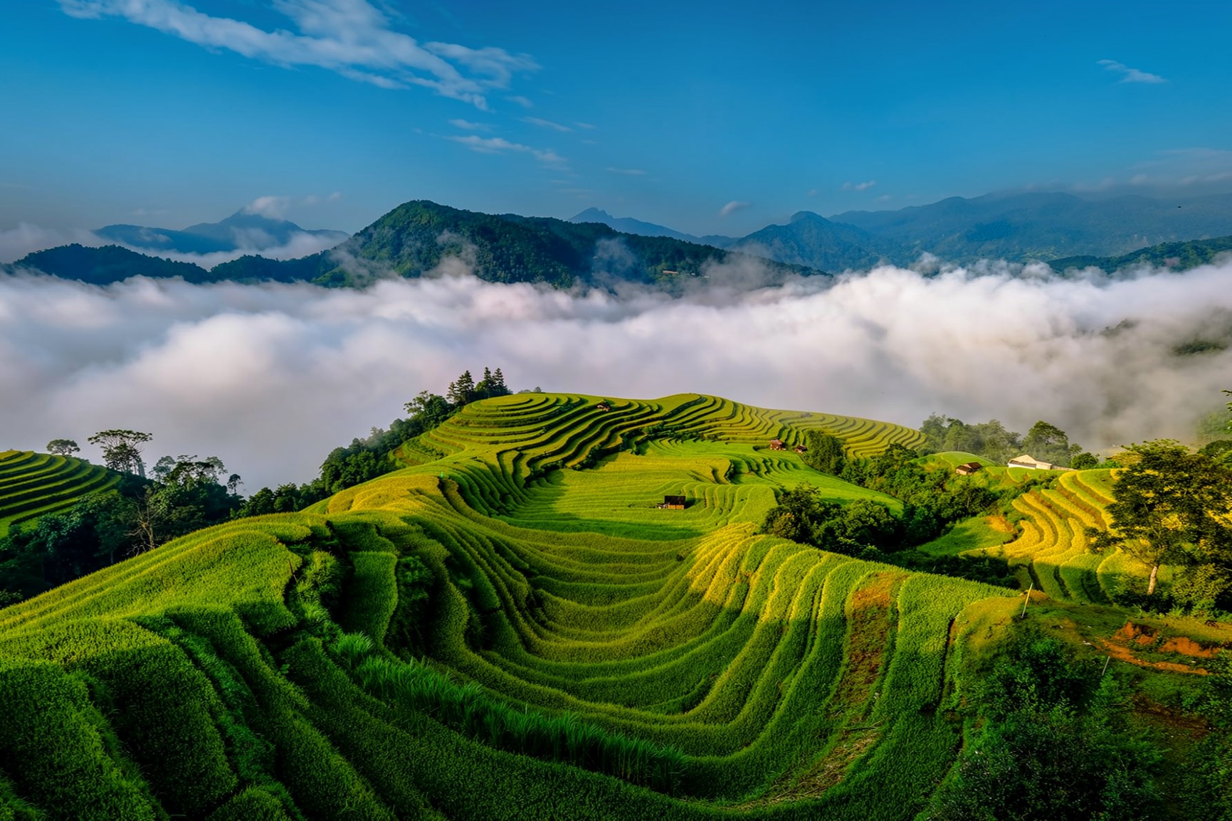 Ho&agrave;ng Su Ph&igrave;  ảnh 16