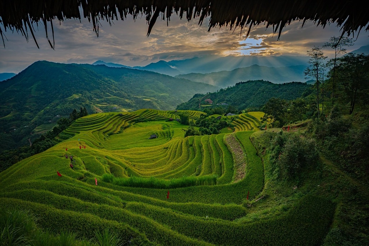 Ho&agrave;ng Su Ph&igrave;  ảnh 12