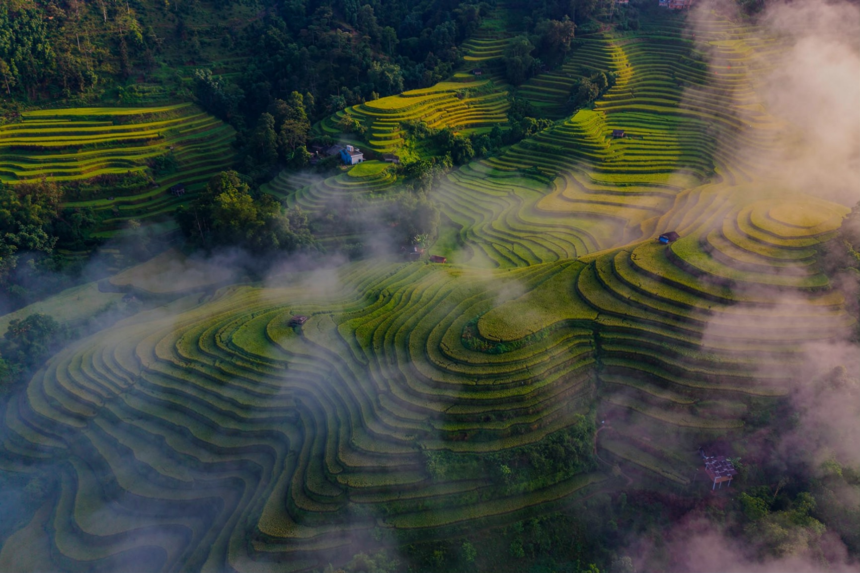 Ho&agrave;ng Su Ph&igrave;  ảnh 15