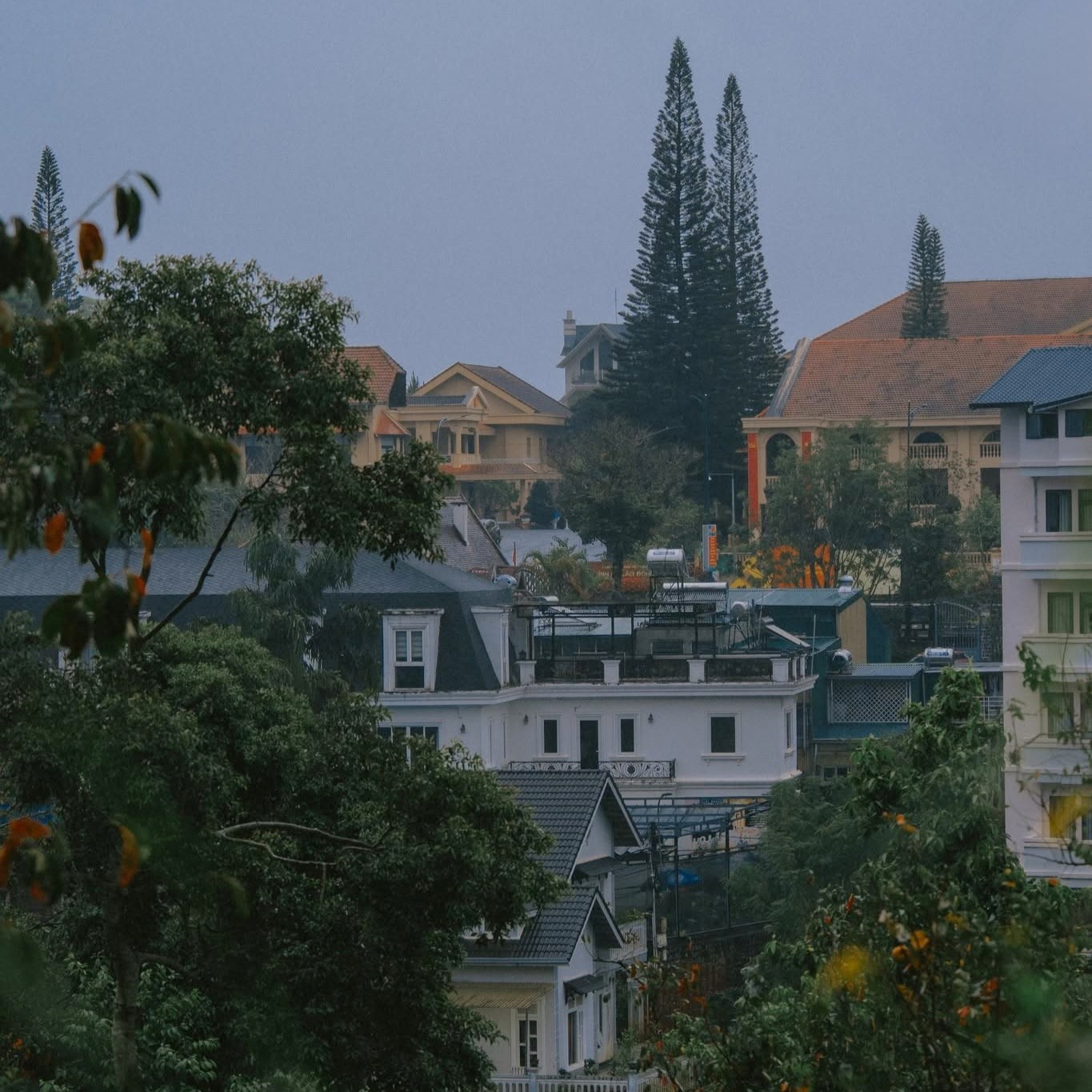 Đ&agrave; Lạt ảnh 1