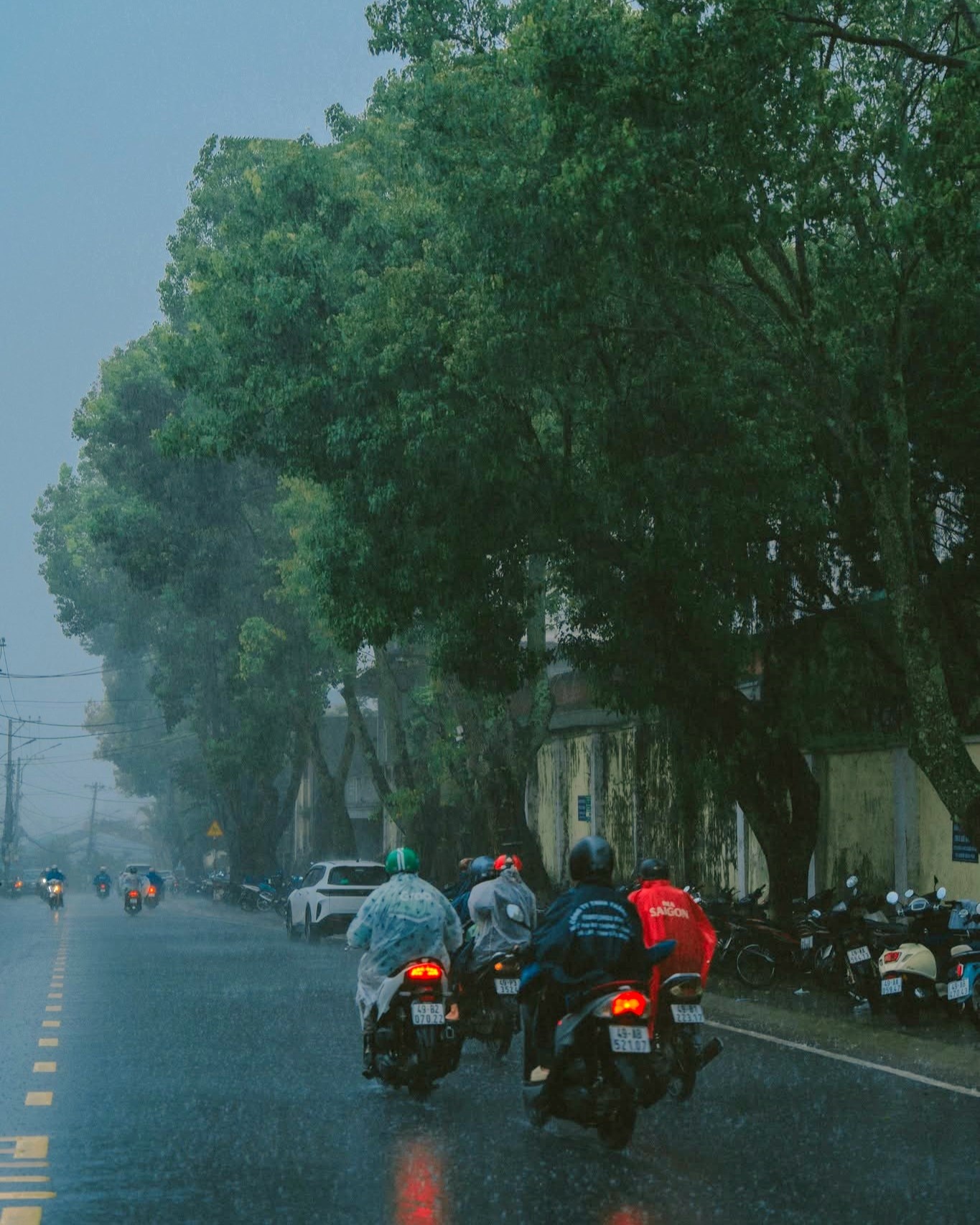 Đà Lạt ảnh 7 Đà Lạt ảnh 7