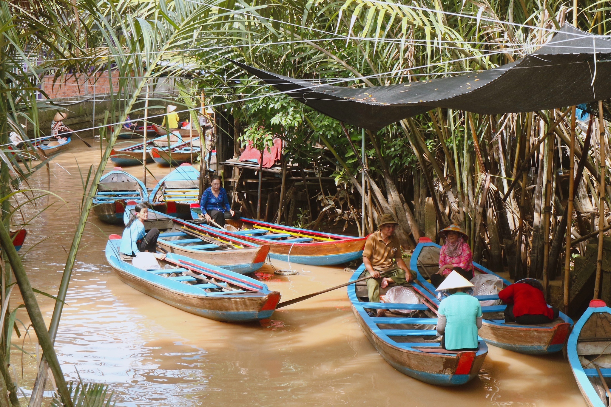cồn Thới Sơn ảnh 5