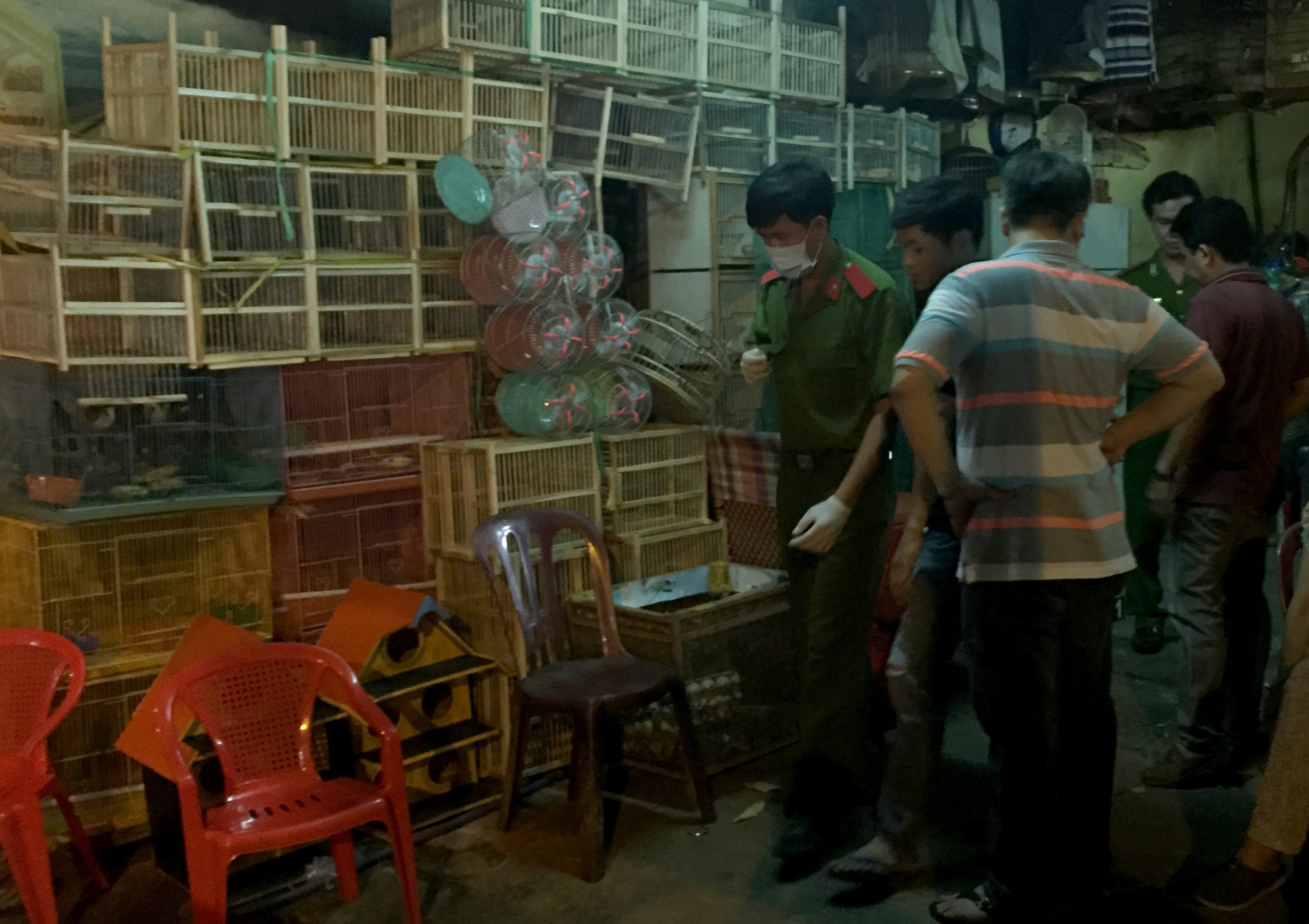 chủ tiệm chim cảnh bị đâm chết ảnh 1 chu tiem chim canh bi dam chet anh 1