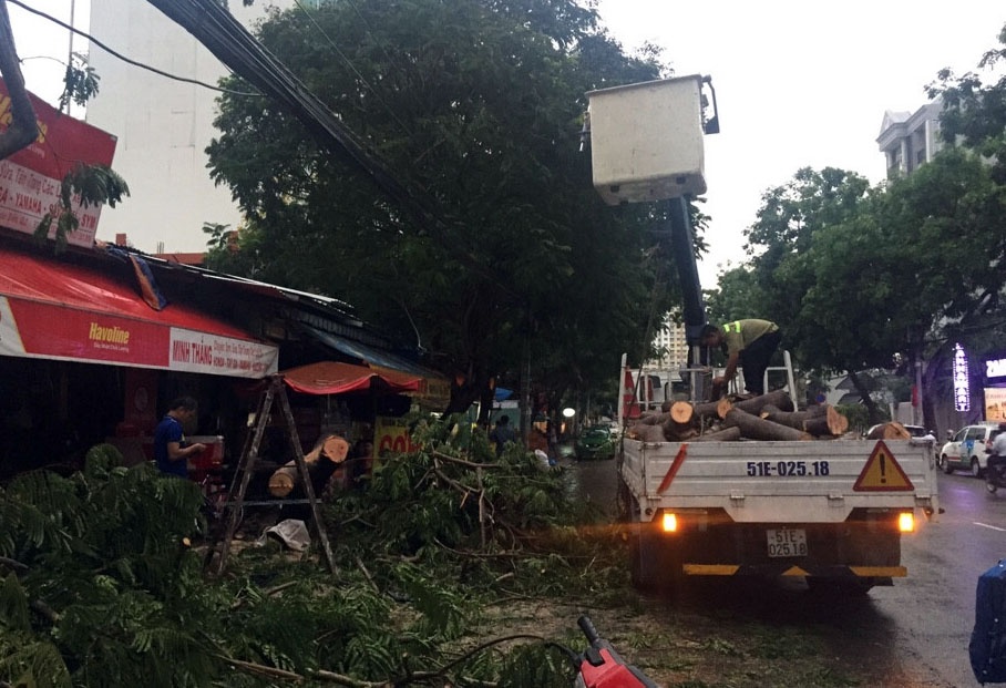 cây xanh bật gốc đè ôtô ảnh 2 cay xanh bat goc de oto anh 2