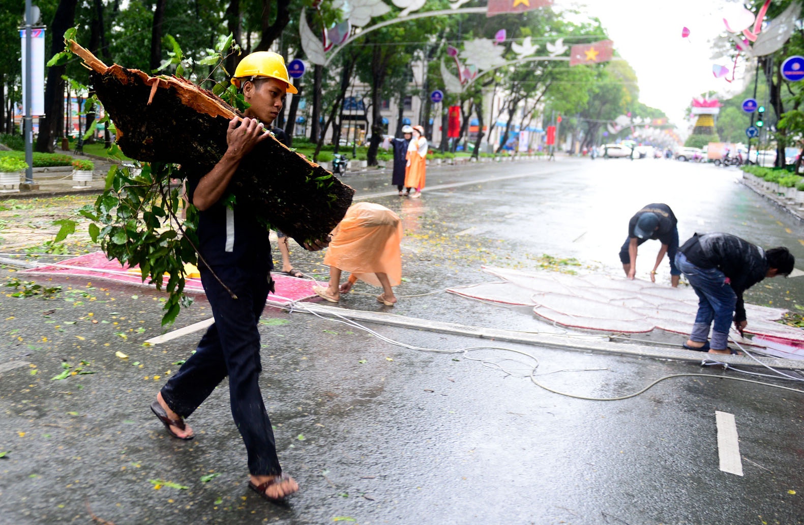 Cây cổ thụ ngã liên tiếp ở Sài Gòn ảnh 7 Cay co thu nga lien tiep o Sai Gon anh 7