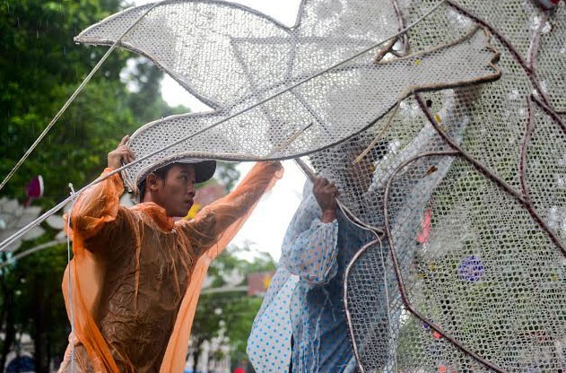 Cây cổ thụ ngã liên tiếp ở Sài Gòn ảnh 9 Cay co thu nga lien tiep o Sai Gon anh 9