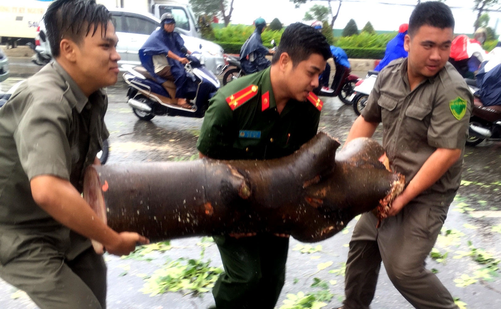 Cây cổ thụ ngã liên tiếp ở Sài Gòn ảnh 2 Cay co thu nga lien tiep o Sai Gon anh 2