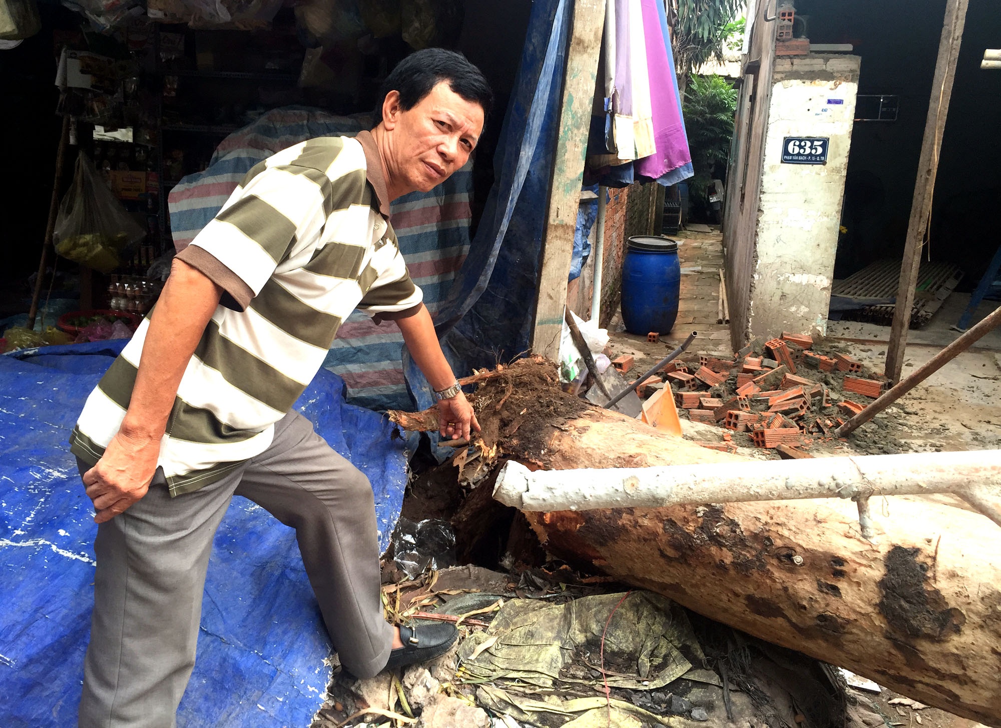 cay nga de nha dan o sai gon anh 2