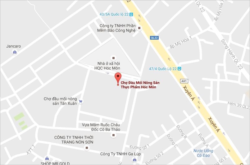 nguoi dan ong chet bat thuong anh 2