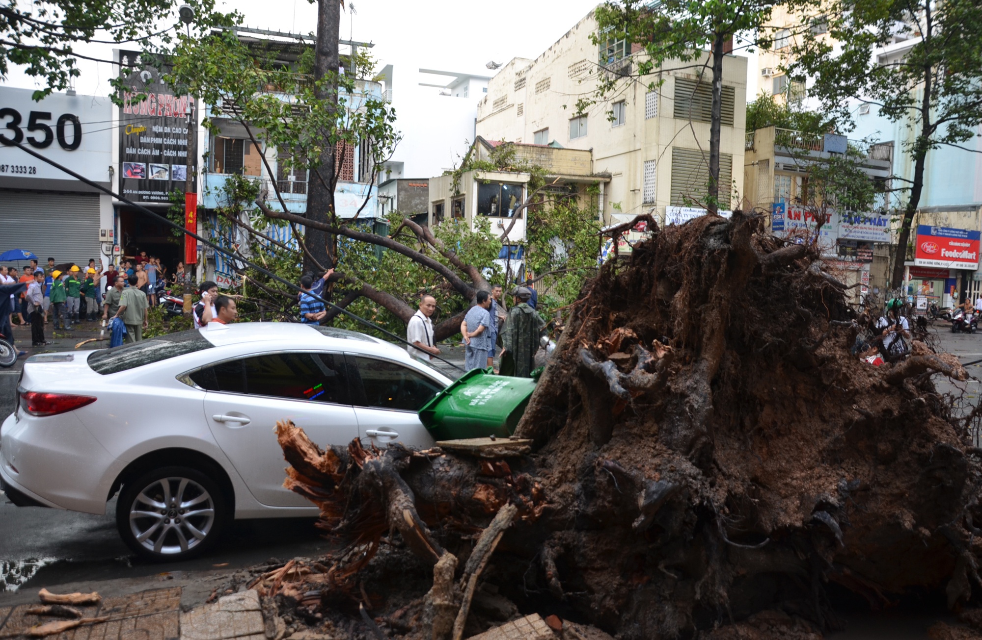 Nan nhan bi cay co thu de o Sai Gon da tu vong hinh anh