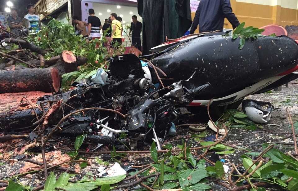 cay nga de nguoi dan o sai gon anh 3