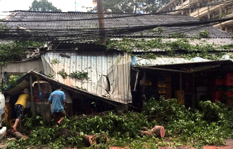 xa cu bat goc de nha dan anh 3