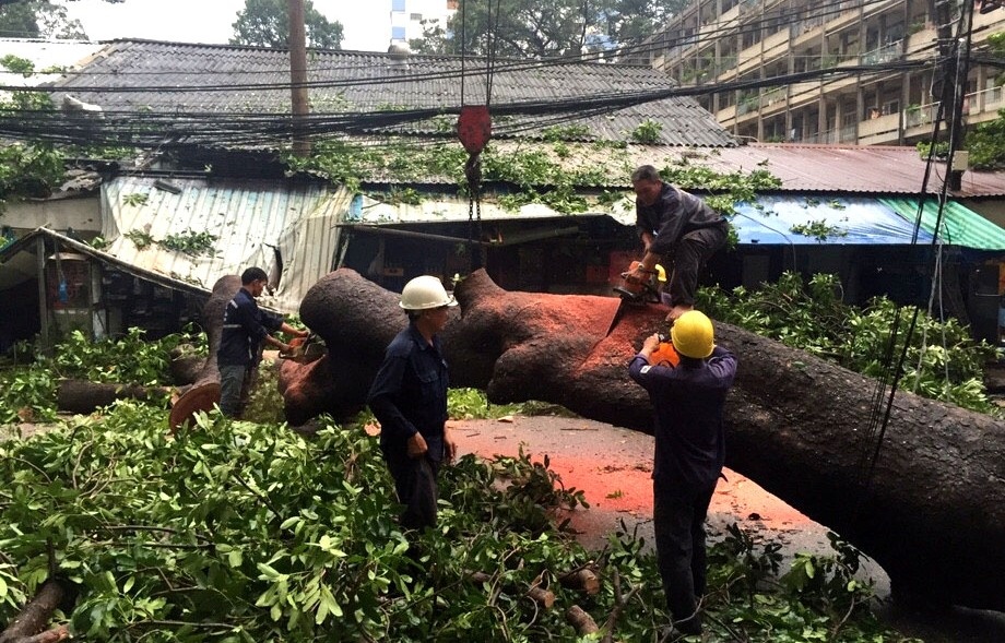 Hai me con mac ket trong can nha bi cay to de sap hinh anh