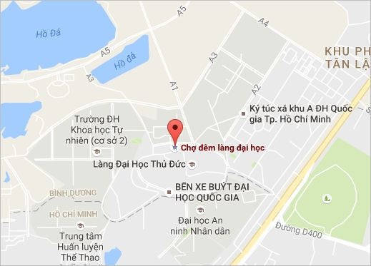 chay cho dem lang dai hoc TP.HCM anh 2