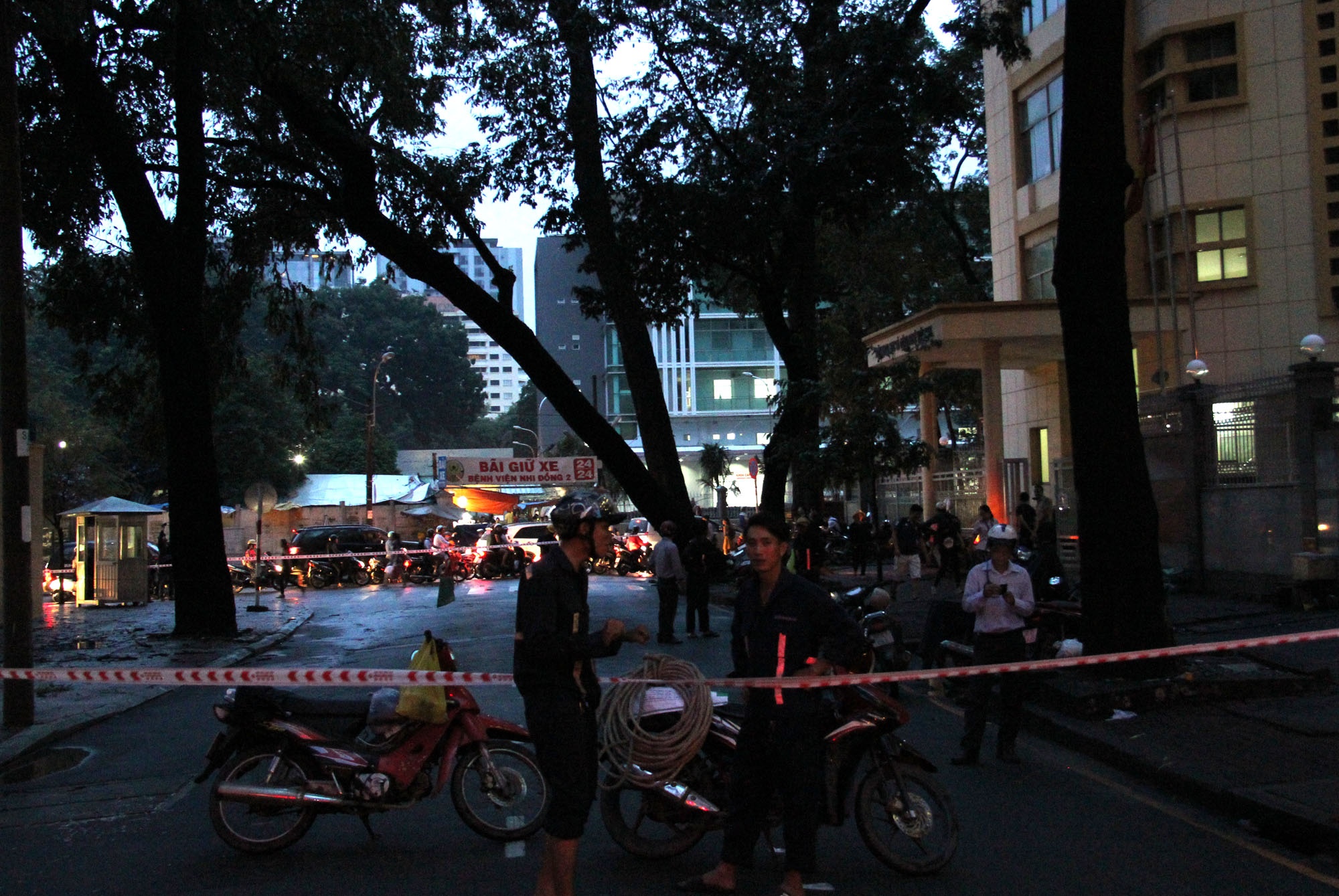 cây cổ thụ đổ ở quận 1 ảnh 1 cay co thu do o quan 1 anh 1