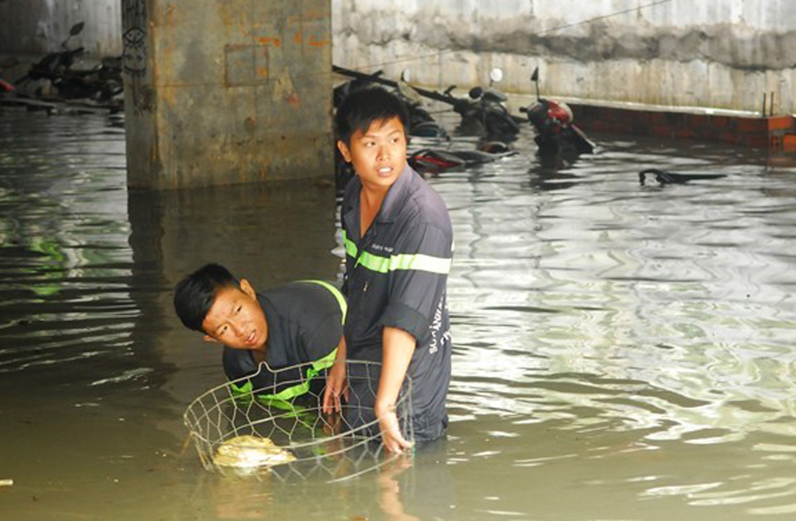 Canh sat PCCC TP.HCM se ky quy che tham gia chong ngap hinh anh