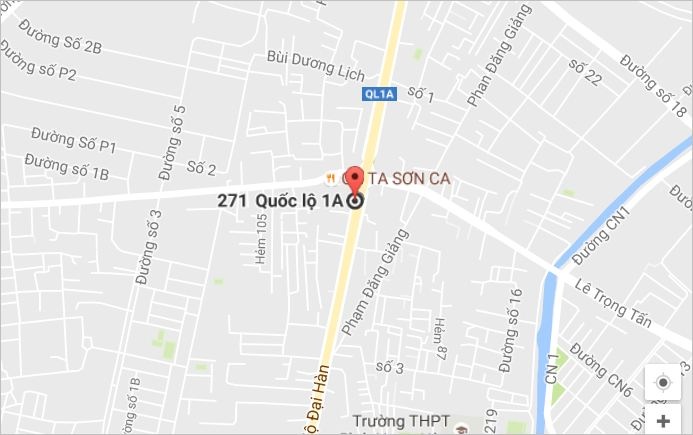 Canh sat giao thong bat trom anh 3