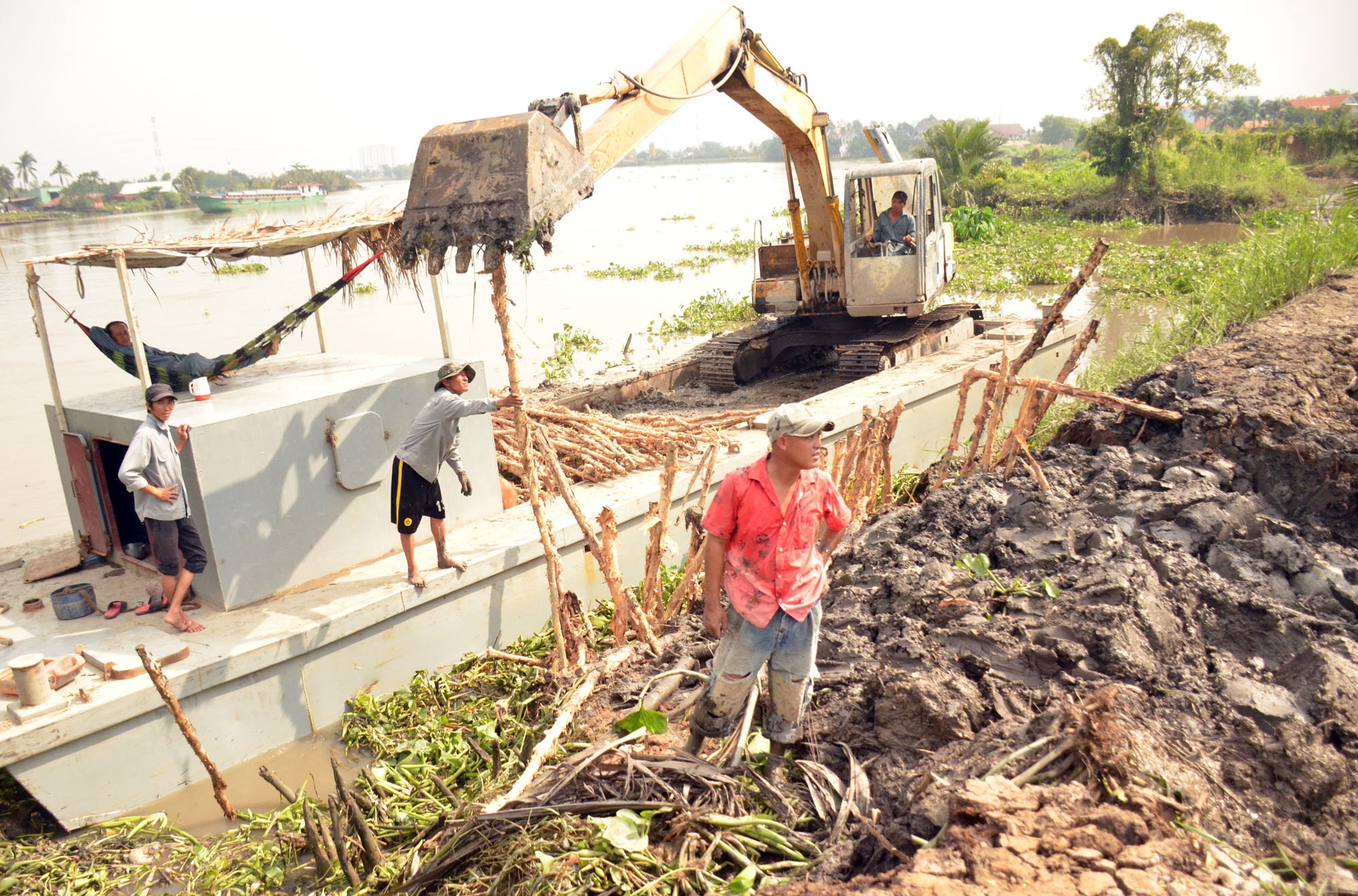 Tran bo bao song Sai Gon, hang nghin goc mai chim trong nuoc hinh anh