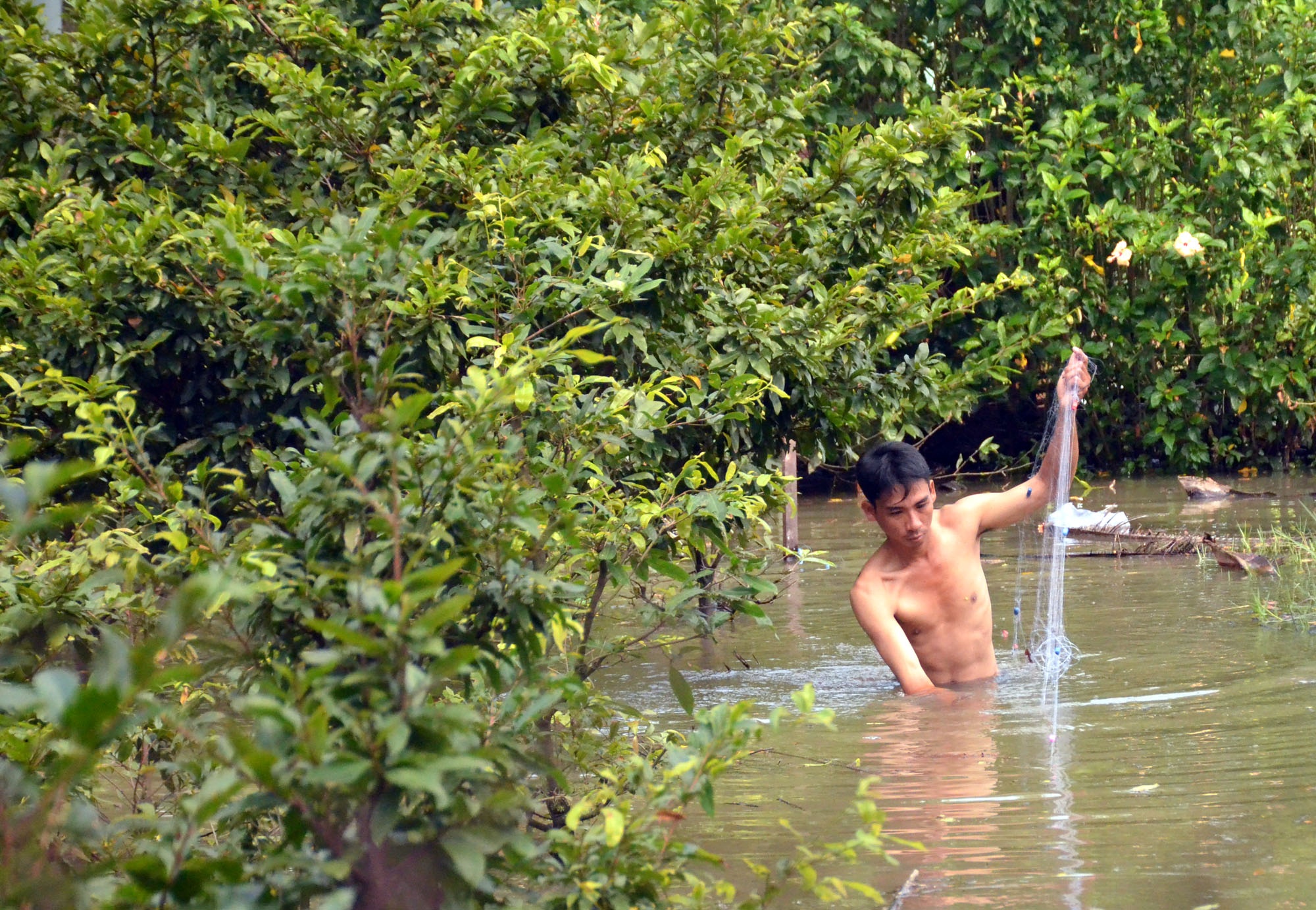 tràn bờ bao trên sông sài gòn ảnh 2 tran bo bao tren song sai gon anh 2