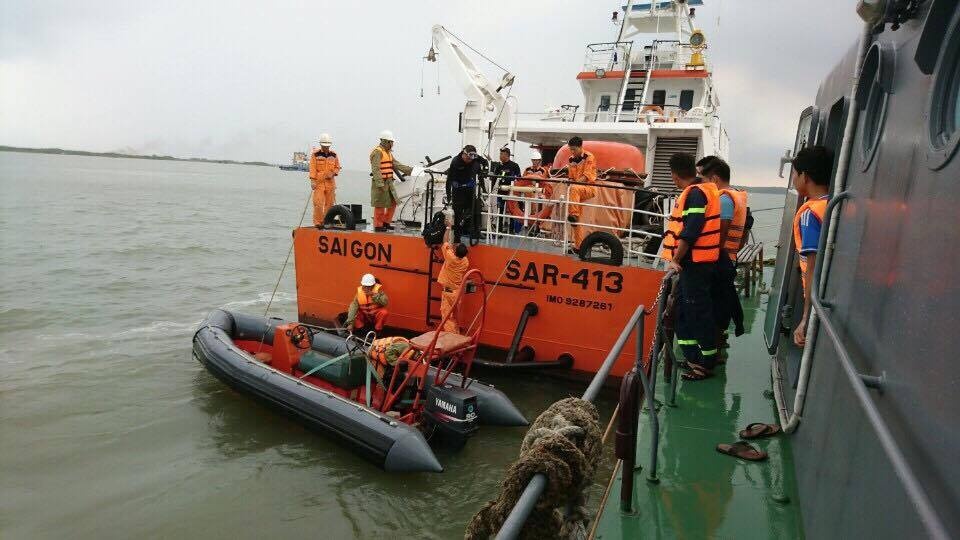 chim sa lan o can gio anh 1