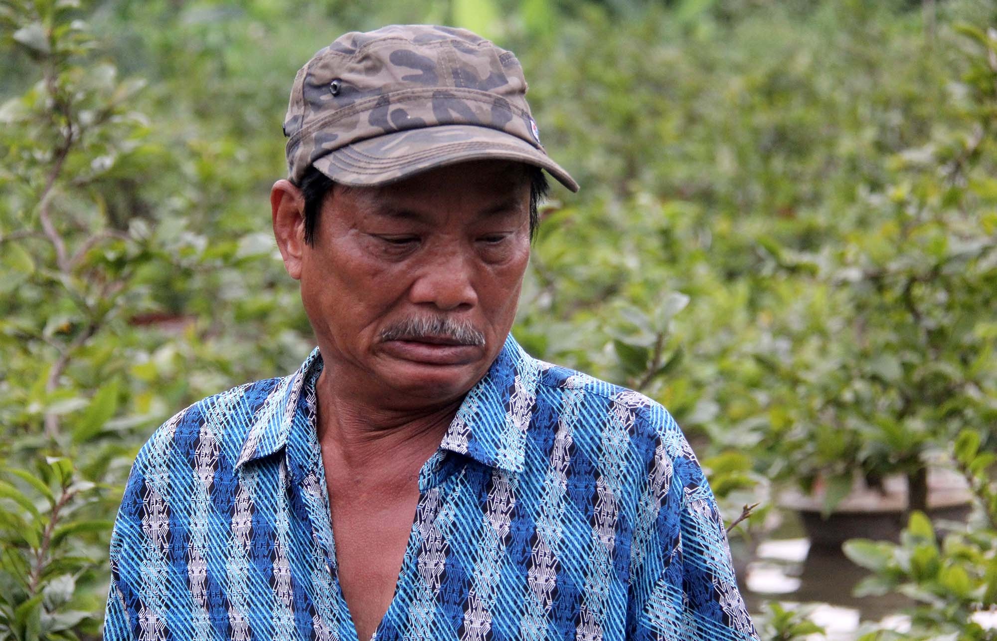 Hang nghin goc mai Tet ngap nuoc, nong dan Sai Gon than troi hinh anh