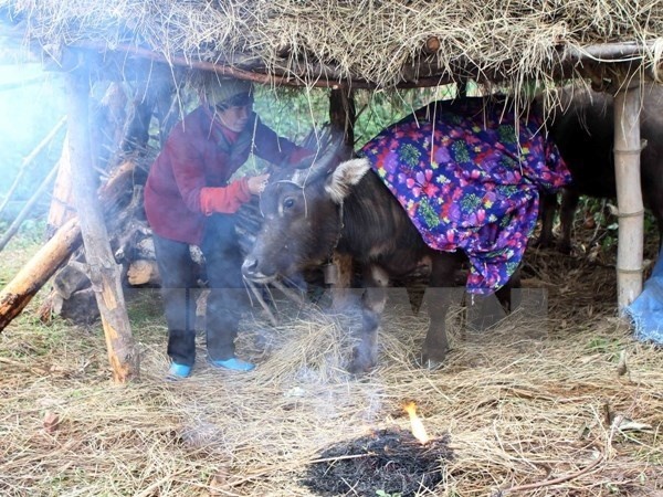 Nhiet do nhieu tinh Bac Bo tiep tuc xuong duoi 10 do C hinh anh