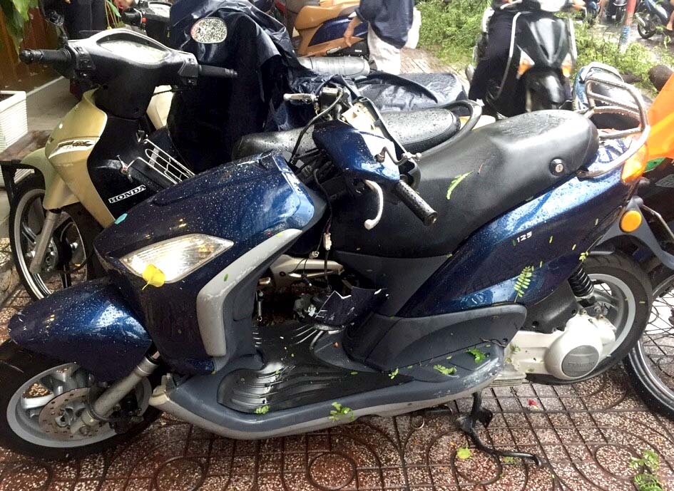cây me ngã đè xe máy trong mưa ảnh 2 cay me nga de xe may trong mua anh 2