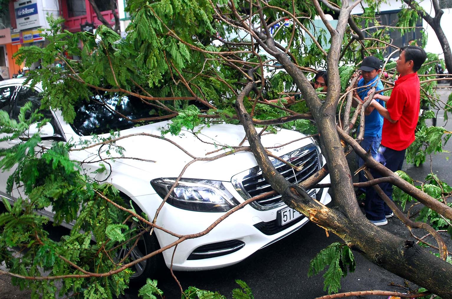 Hang loat cay xanh do gay de oto, nha dan trong mua lon o Sai Gon hinh anh