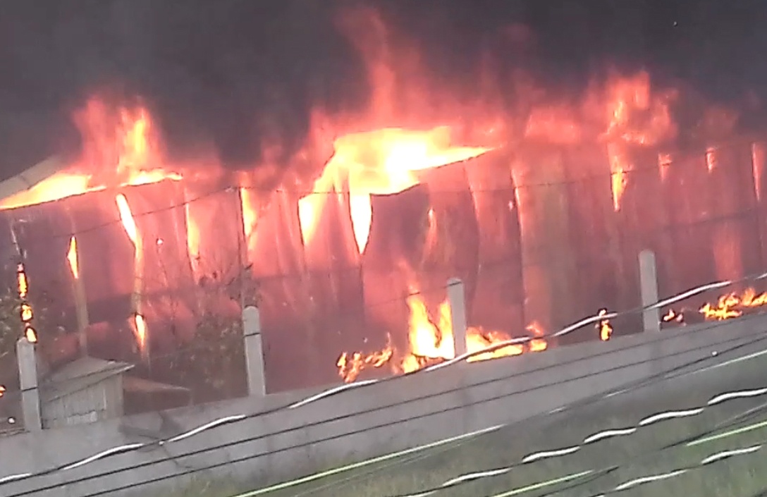 Nam gio dap 'bien lua' tai vua phe lieu rong 1.000 m2 o Long An hinh anh