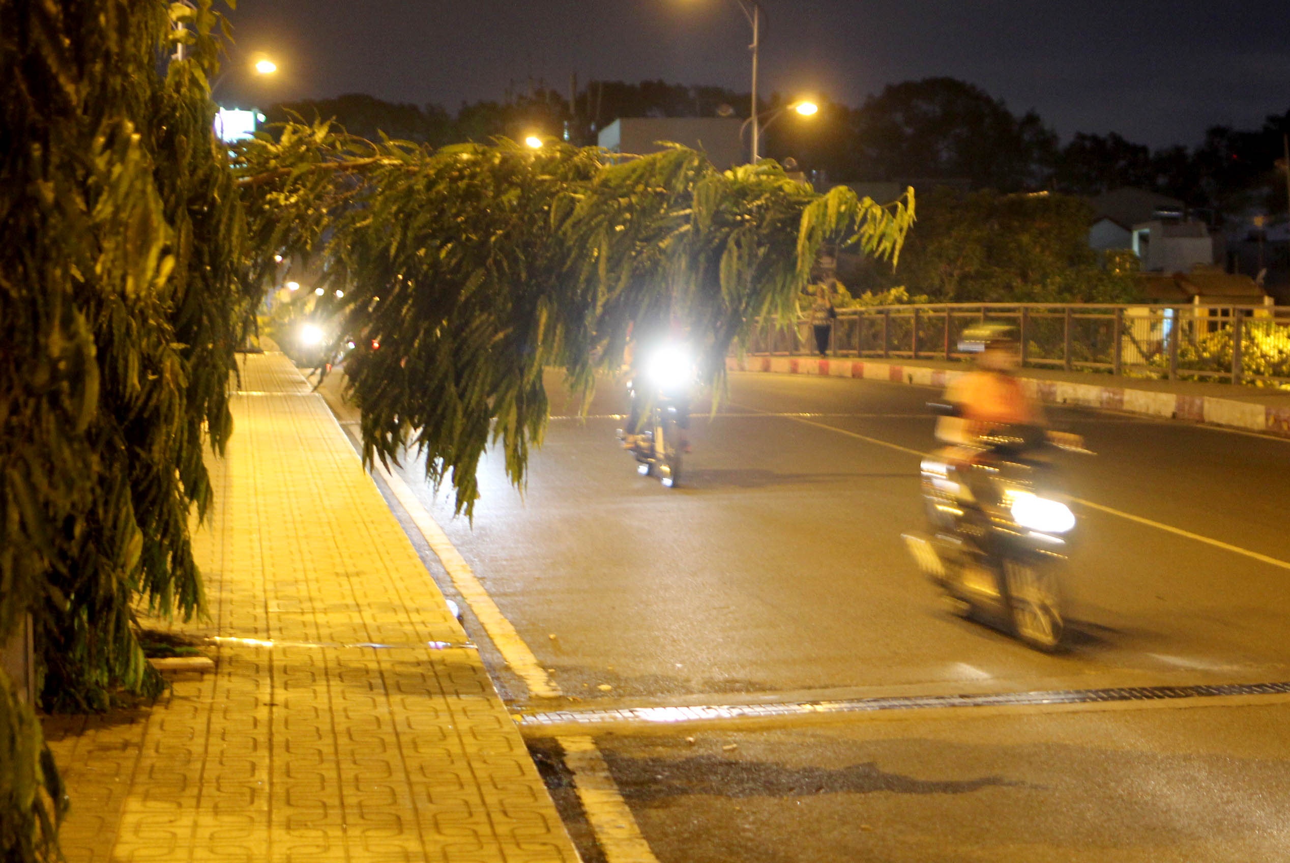 người đàn ông gục chết trên cầu ảnh 1 nguoi dan ong guc chet tren cau anh 1