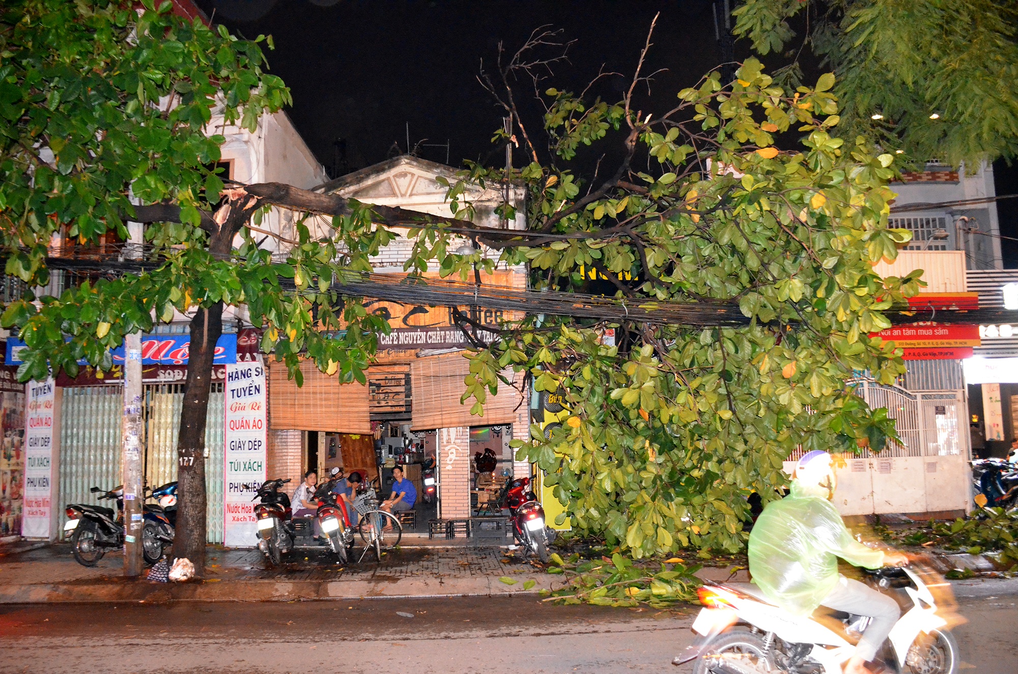 sài gòn tiếp tục mưa lớn  ảnh 2 sai gon tiep tuc mua lon anh 2